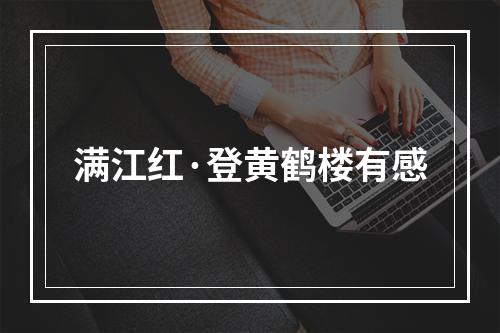 满江红·登黄鹤楼有感