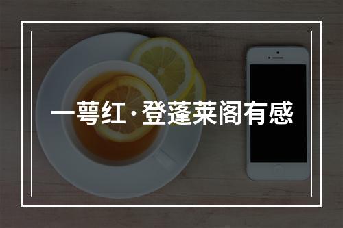 一萼红·登蓬莱阁有感