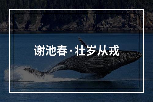 谢池春·壮岁从戎