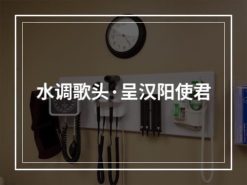 水调歌头·呈汉阳使君