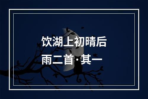 饮湖上初晴后雨二首·其一