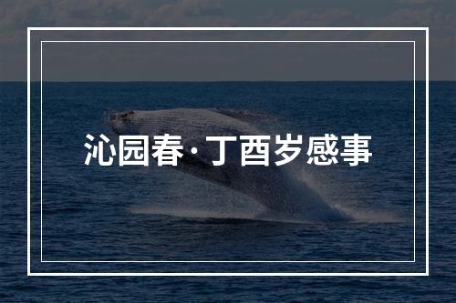 沁园春·丁酉岁感事