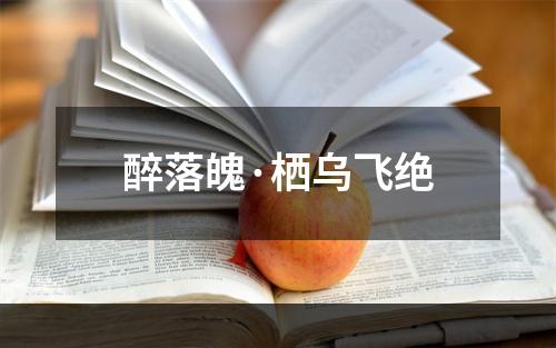 醉落魄·栖乌飞绝