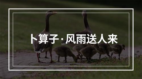 卜算子·风雨送人来