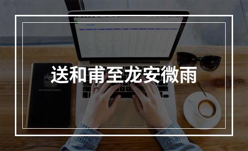 送和甫至龙安微雨