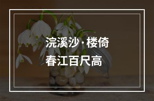 浣溪沙·楼倚春江百尺高