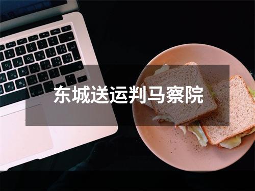 东城送运判马察院