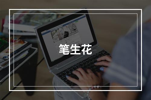 笔生花