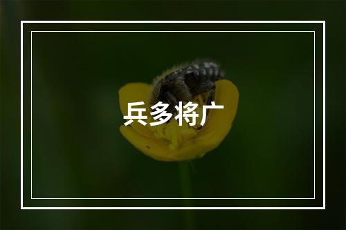 兵多将广