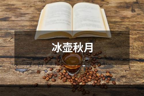 冰壶秋月