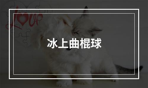 冰上曲棍球