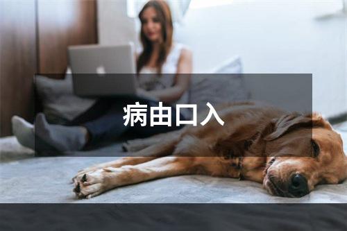 病由口入