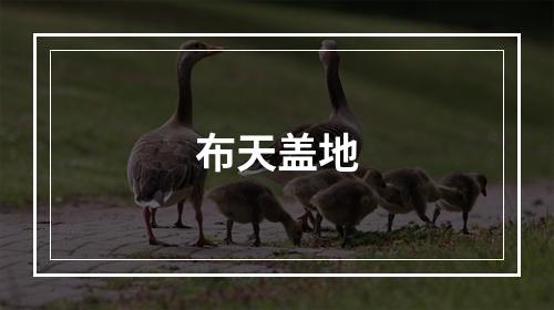 布天盖地