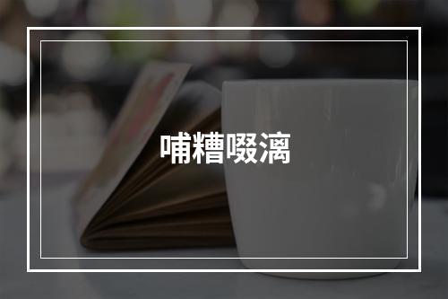 哺糟啜漓