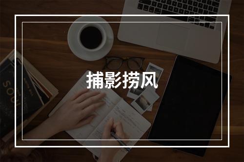 捕影捞风