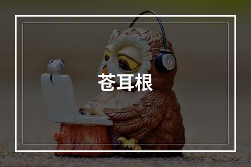 苍耳根