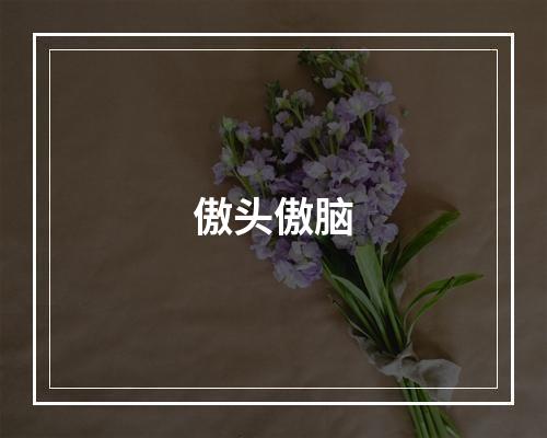 傲头傲脑