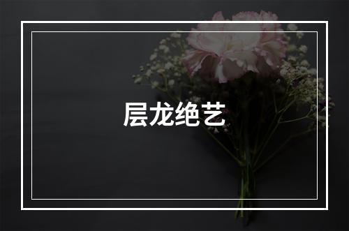 层龙绝艺