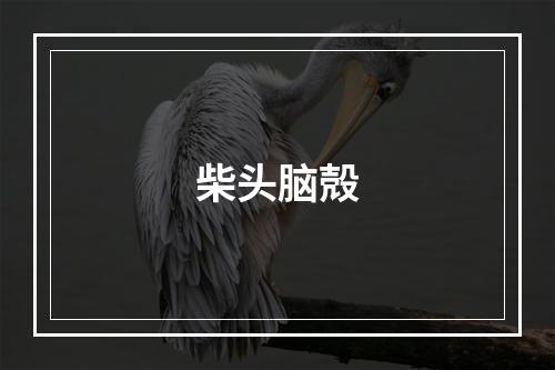 柴头脑殻