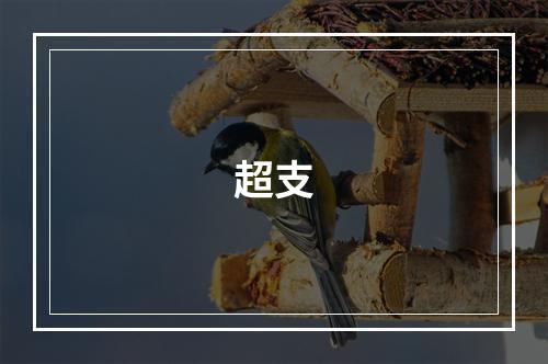 超支