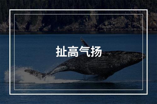 扯高气扬