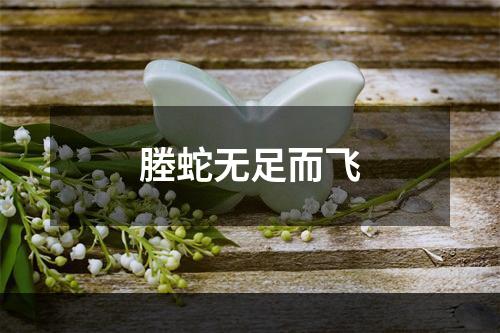 塍蛇无足而飞