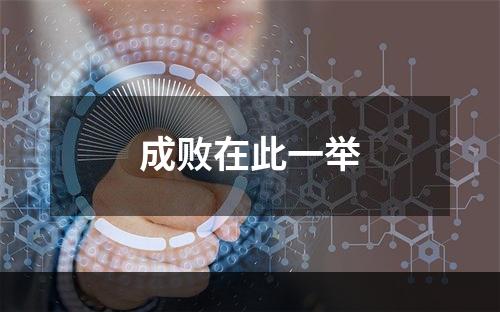 成败在此一举