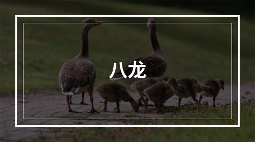 八龙