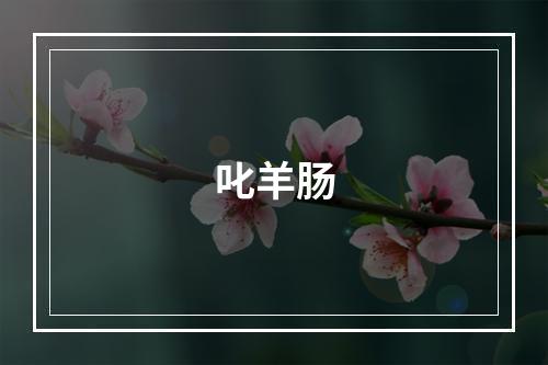 叱羊肠