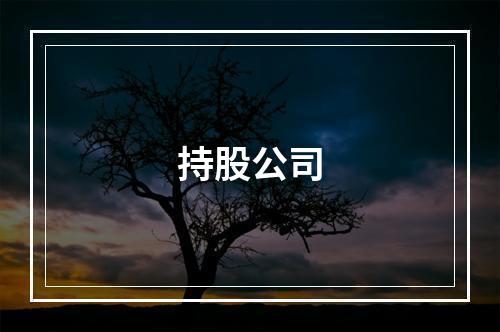 持股公司