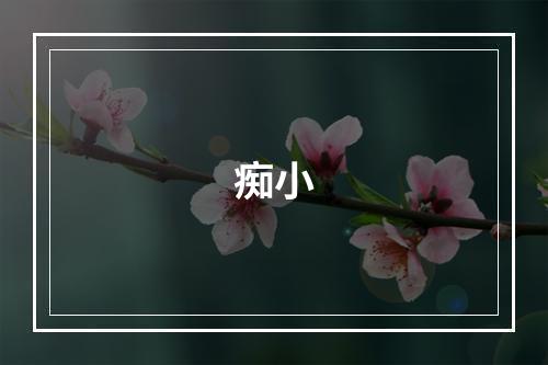 痴小