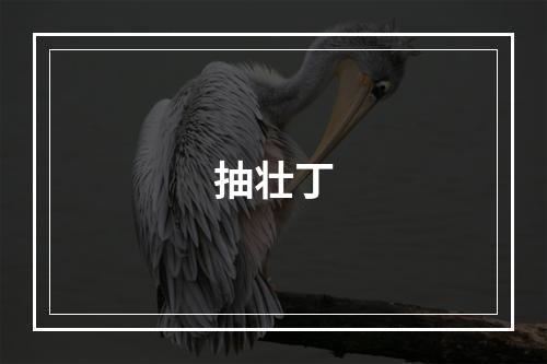 抽壮丁