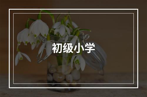 初级小学