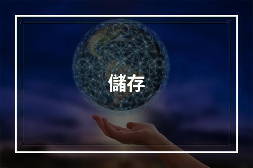 儲存