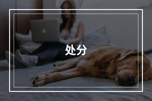处分