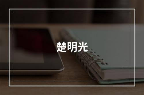 楚明光