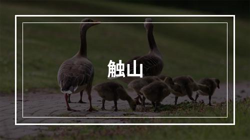 触山