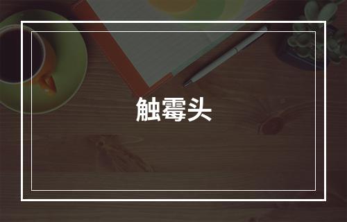 触霉头