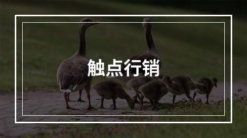 触点行销