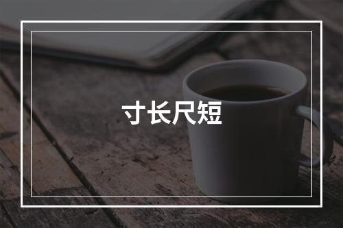 寸长尺短
