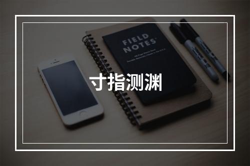 寸指测渊