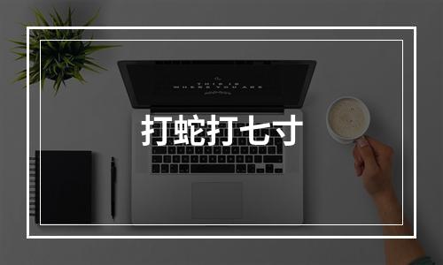 打蛇打七寸