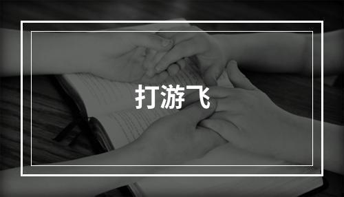 打游飞
