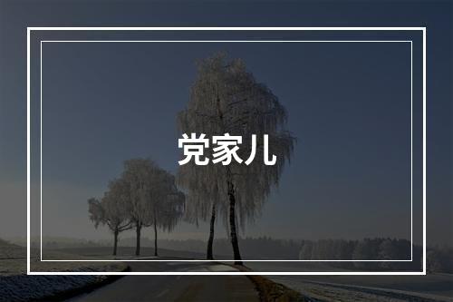 党家儿