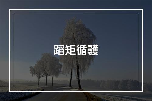 蹈矩循彠