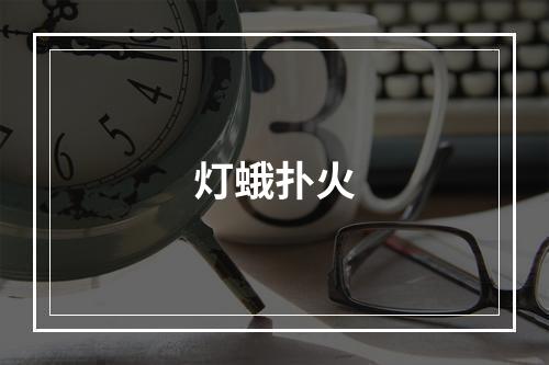 灯蛾扑火