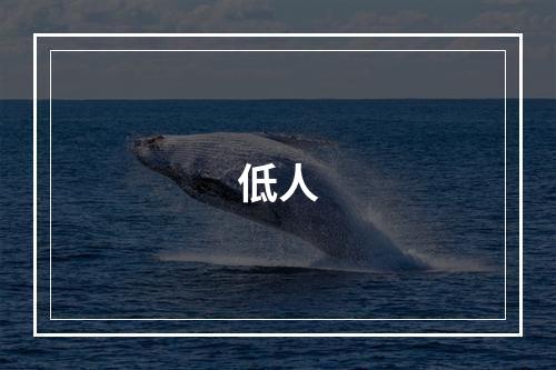 低人
