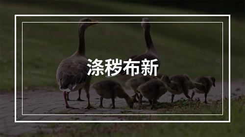 涤秽布新