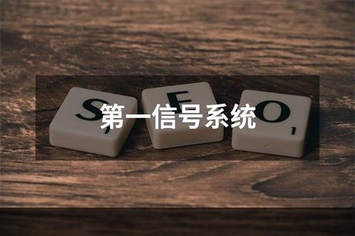 第一信号系统
