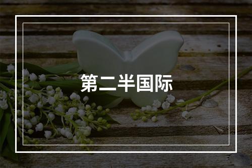 第二半国际